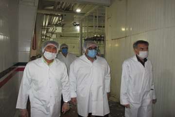 بازدید مدیران کل دامپزشکی و تعزیرات حکومتی از کشتارگاههای طیور مشهد