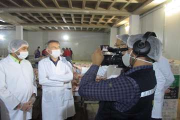 بازدید مدیران کل دامپزشکی و تعزیرات حکومتی از کشتارگاههای طیور مشهد