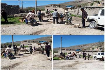 شرایط سخت کاری خدمات پرسنل دامپزشکی در شهرستان درگز