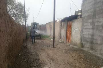 شرایط سخت کاری خدمات پرسنل دامپزشکی در شهرستان درگز