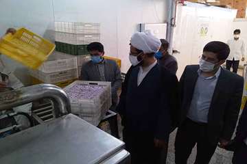 بازدید مدیر کل دامپزشکی استان از کارخانه فرآورده های لبنی کردیان باخرز