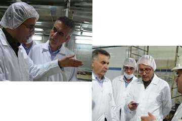 بازدید رئیس سازمان دامپزشکی کشور از مجتمع صنعتی گوشت مشهد