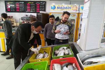 بازدید سرزده مدیر کل دامپزشکی استان از نحوه فعالیت گروه های نظارتی شبکه دامپزشکی مشهد در آخرین روز س