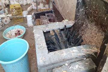 برخورد با مراکز عرضه غیرمجاز طیور در حاشیه شهر مشهد