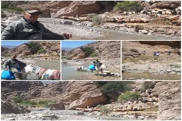 شرایط سخت کاری خدمات پرسنل دامپزشکی در شهرستان درگز