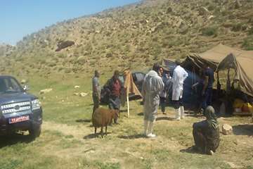 بازدید معاون سلامت اداره کل دامپزشکی خراسان رضوی از وضعیت بیماری در شهرستان کلات