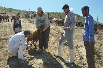 بازدید معاون سلامت اداره کل دامپزشکی خراسان رضوی از وضعیت بیماری در شهرستان کلات