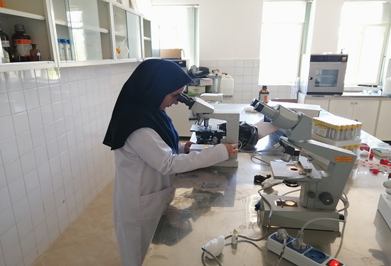 آزمایشگاه