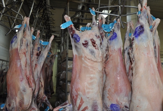 رشد 24 درصدی تولید و استحصال گوشت در شهرستان مشهد 