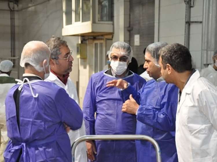 تأکید سازمان دامپزشکی کشور بر ارتقای نظارت‌های بهداشتی و رفع موانع فعالیت کشتارگاه‌های دام و طیور