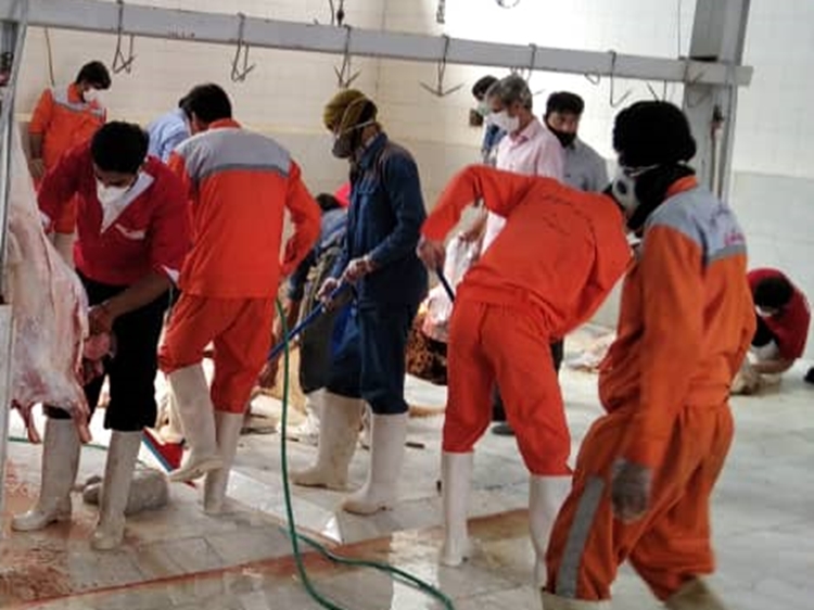 نظارت بهداشتی دامپزشکی خواف بر کشتار بیش از 7900 راس دام شهرستان