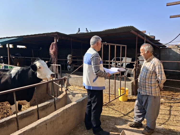 بازدید میدانی رئیس شبکه دامپزشکی مه ولات از عملکرد اکیپ های عملیاتی بخش غیر دولتی