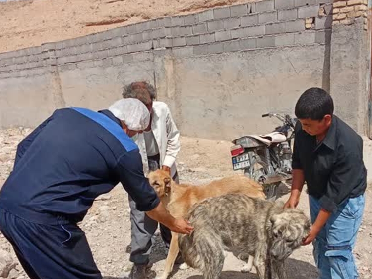 هشدار بهداشتی شبکه دامپزشکی داورزن در خصوص بیماری هاری 