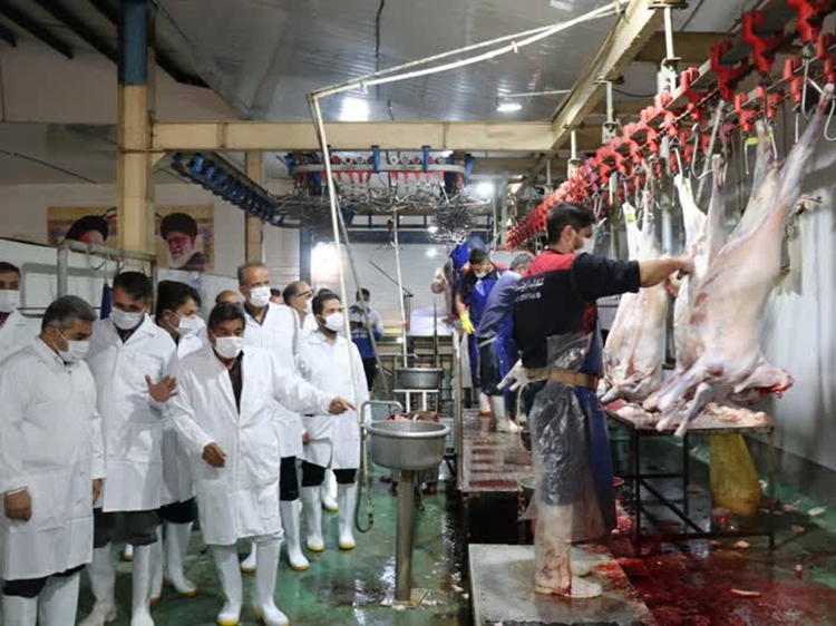نظارت بهداشتی و شرعی دامپزشکی بر ذبح دام در روز عید سعید قربان