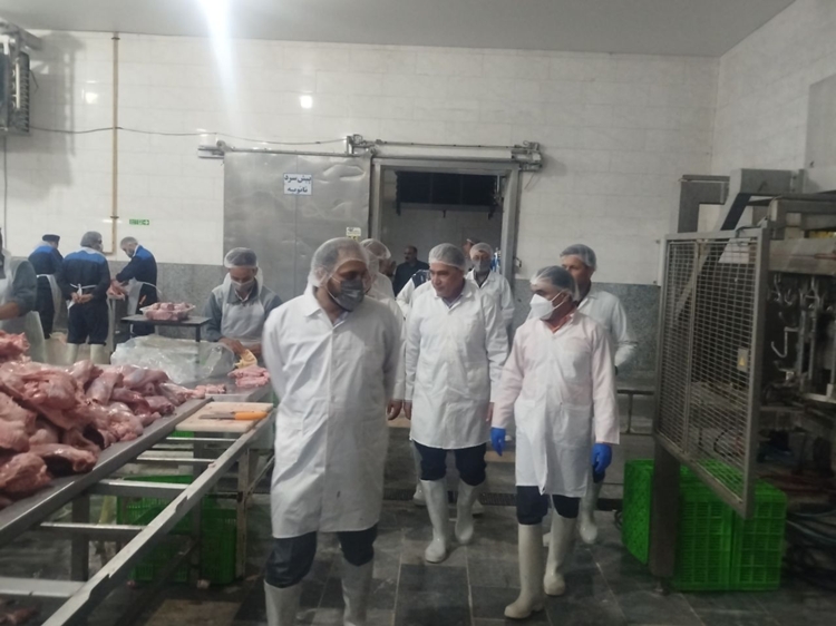 بازدید شبانه معاون سیاسی فرماندار فریمان از کشتارگاه صنعتی طیور شهرستان