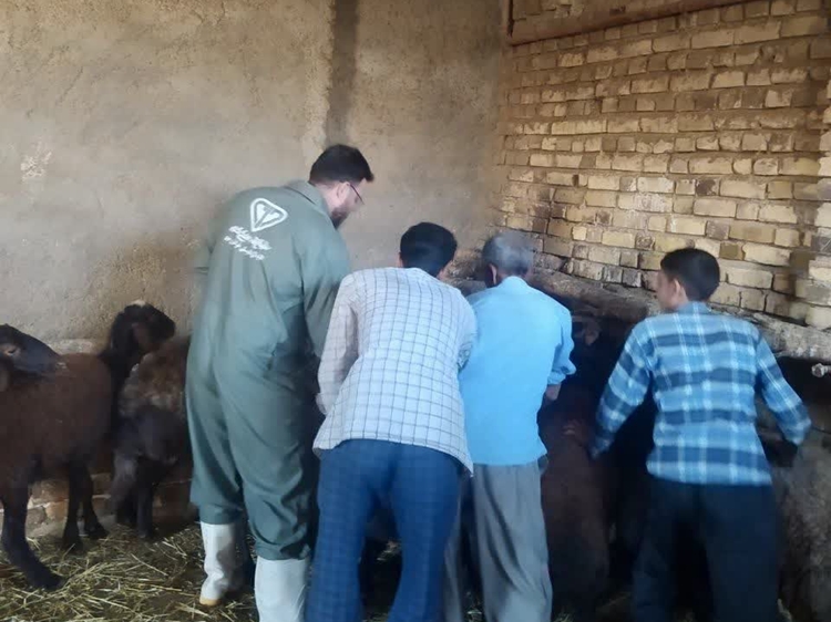  ارائه خدمات رایگان به دامداران حاجی‌آباد همزمان با هفته دولت، دومین اردوی جهادی 