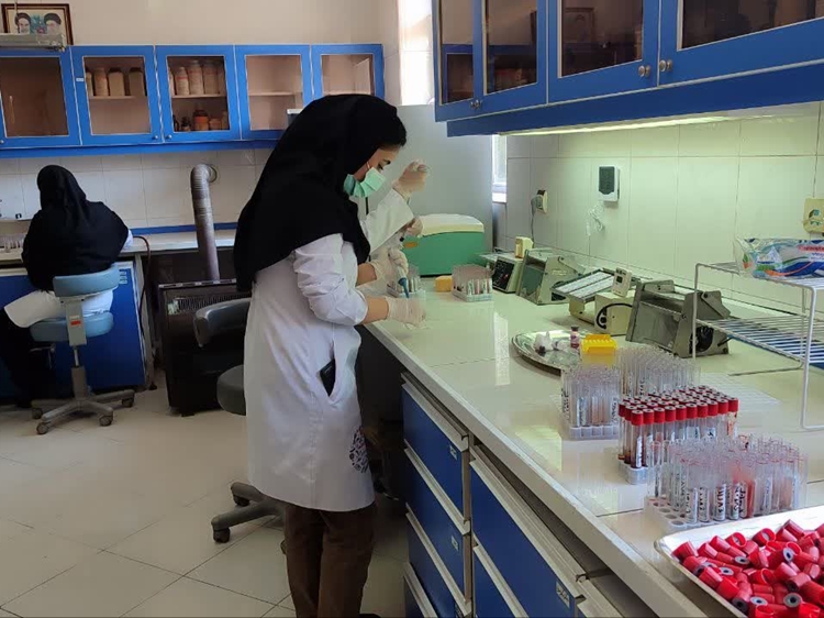 ارتقای همزمان مهارتهای علمی و عملی دانشجویان مقاطع مختلف دامپزشکی در مشهد