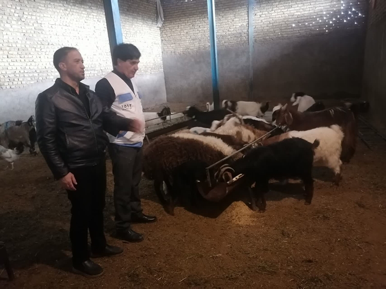 نظارت بهداشتی دامپزشکی بر قرنطینه دام های توقیفی در تربت حیدریه