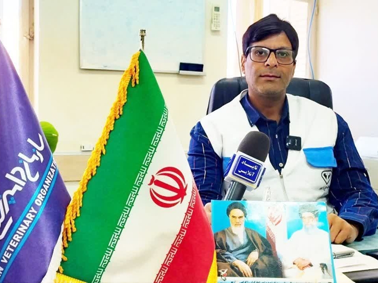 نظارت بهداشتی بر تولید سالانه ۲ هزار و ۸۰۰ تن گوشت قرمز در شهرستان