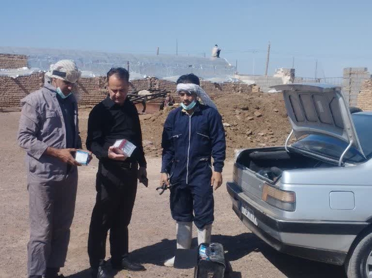بازدید رییس شبکه دامپزشکی گناباد از چگونگی اجرای عملیات فنی طرح  فراگیر مایه کوبی  بروسلوز دام سبک 