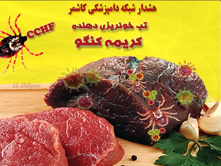 هشدار شبکه دامپزشکی کاشمر به شهروندان در خصوص پیشگیری از ابتلا به بیماری تب کریمه کنگو 